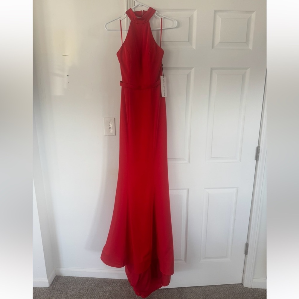 Ashley Lauren Halter Backless Mermaid Dress